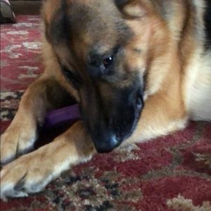 Meet your Posher, Zach